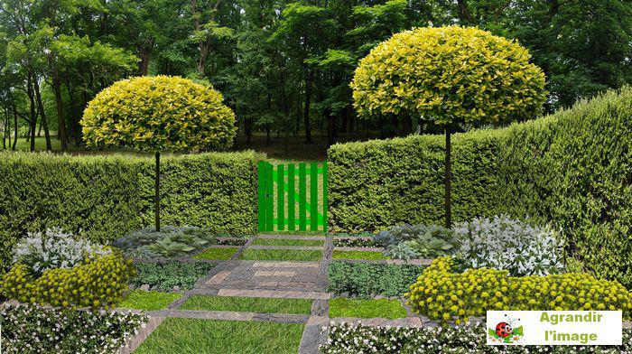 Am nager un jardin  vert en damier  Am nager un jardin  vert en damier